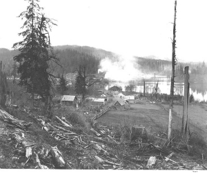 Atlas Shingle and Lumber