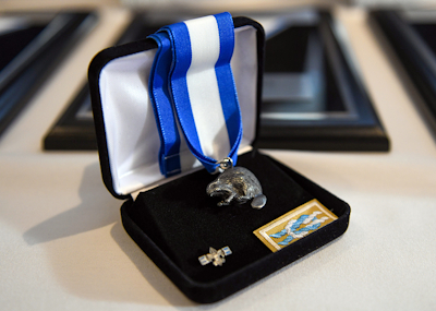 Silver Beaver Award